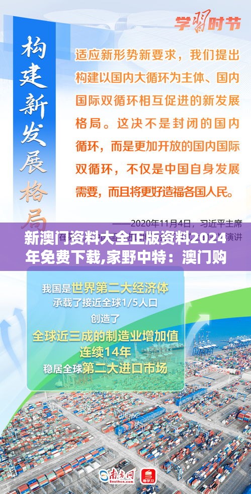 2025新澳门和香港精准正版免费,精选解析、解释与落实